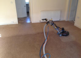 Carpet Cleaning